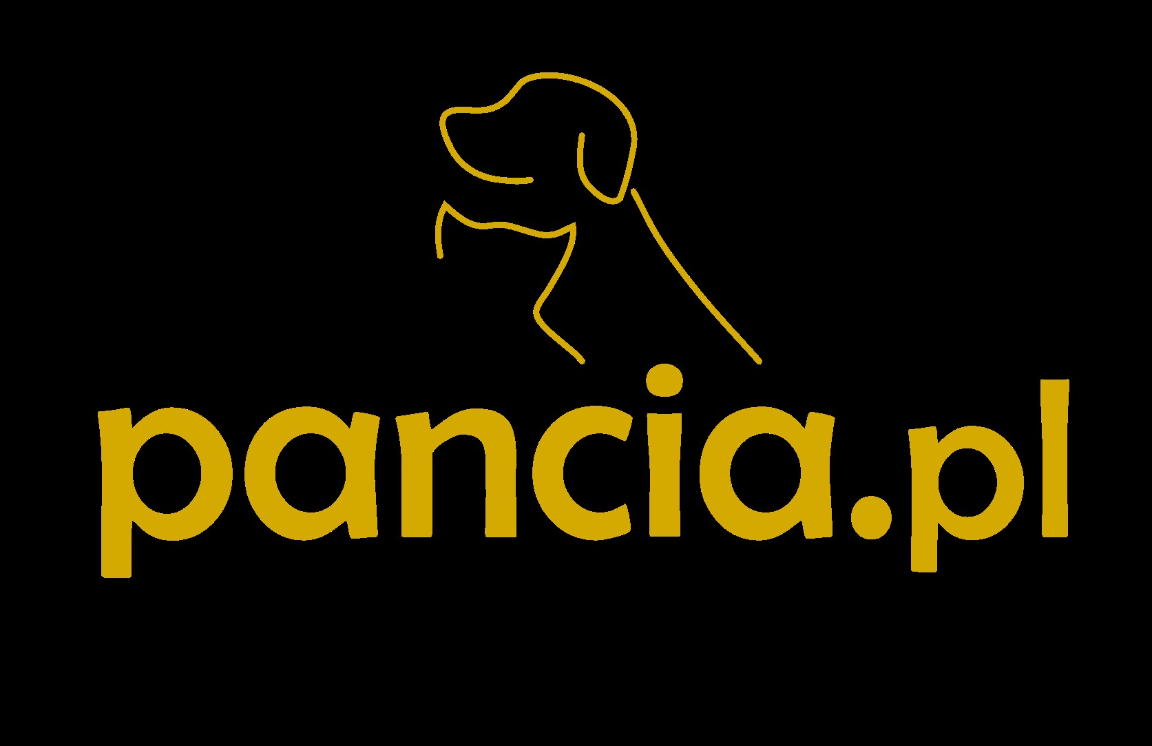 pancia.pl - strona główna